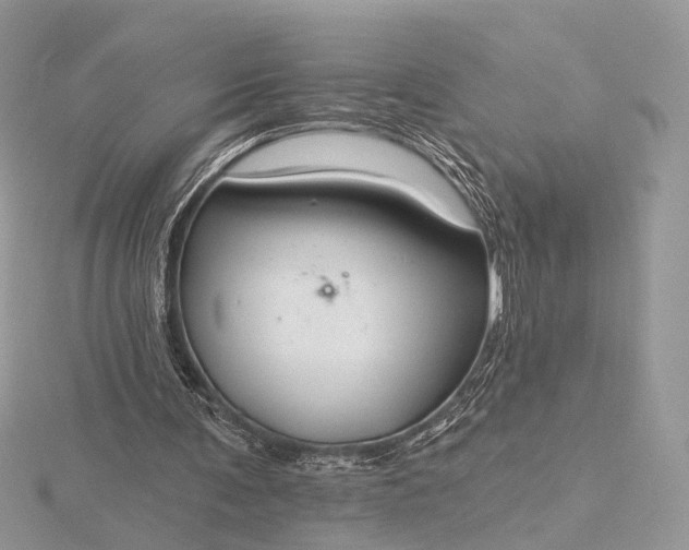 X0000116160291200912071330
