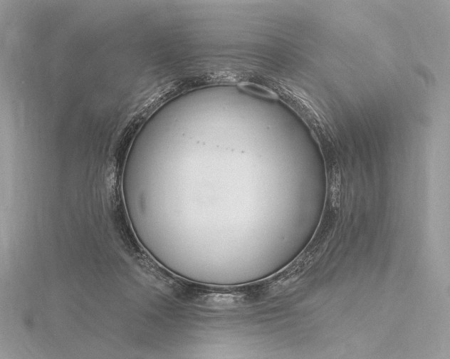 X0000116160314200912071330