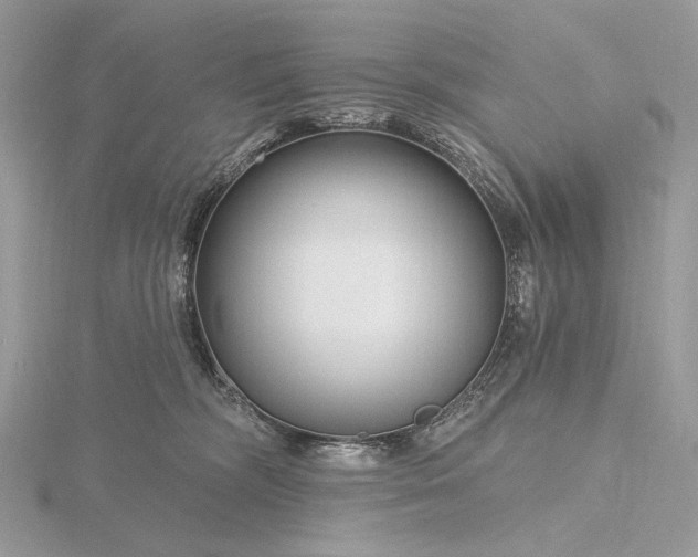 X0000116160326200912071330