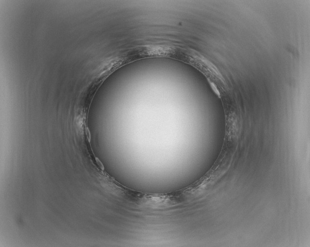 X0000116160329200912071330
