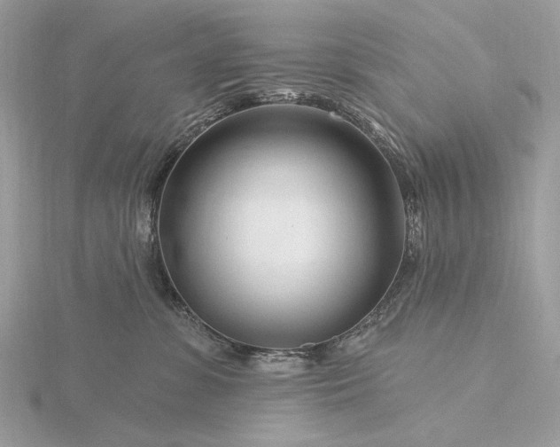 X0000116160331200912071330