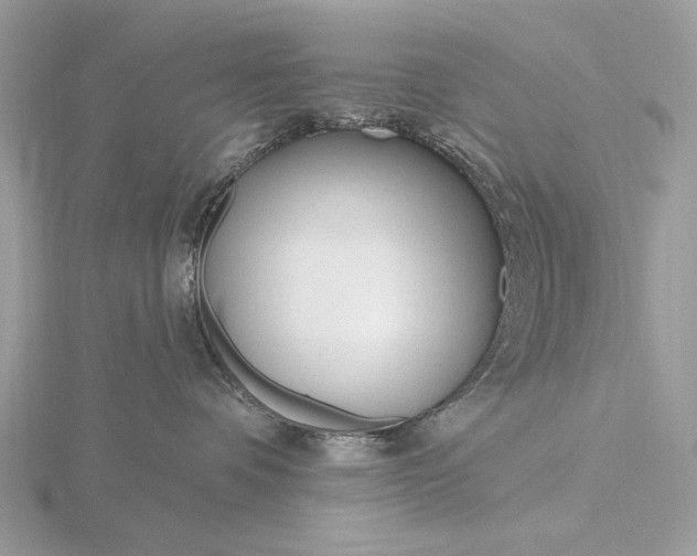 X0000116160336200912071329