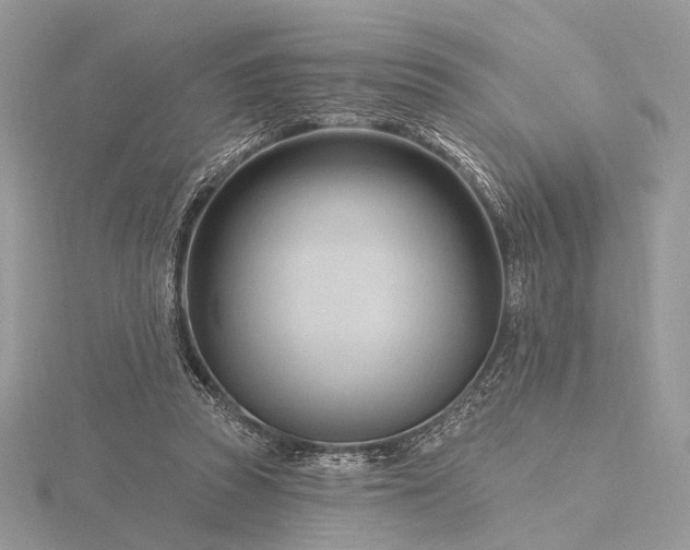 X0000116160353200912071329