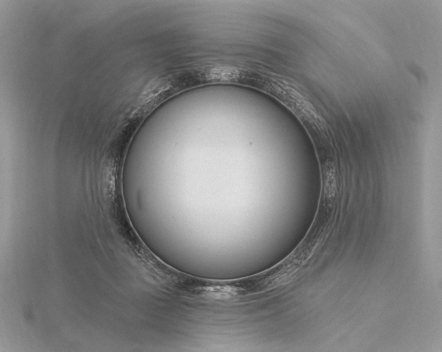 X0000116160363200912071329