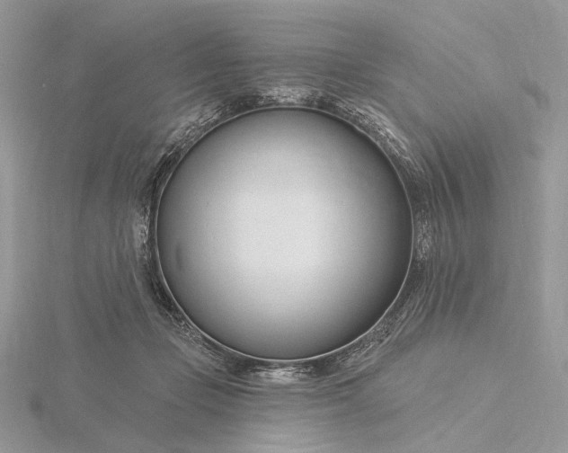 X0000116160365200912071329