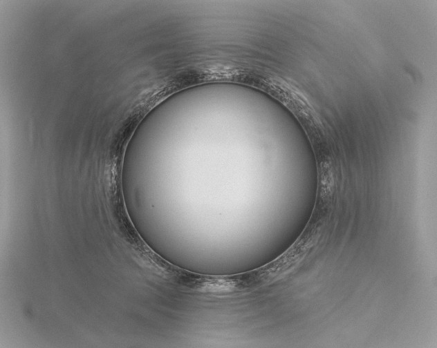 X0000116160369200912071329