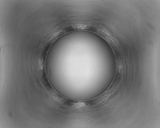 X0000116160374200912071329