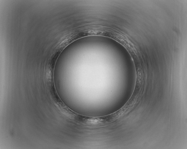 X0000116160375200912071329