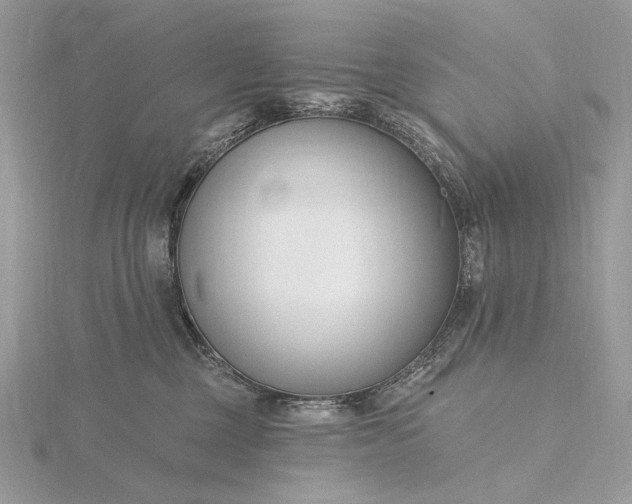 X0000116160377200912071329
