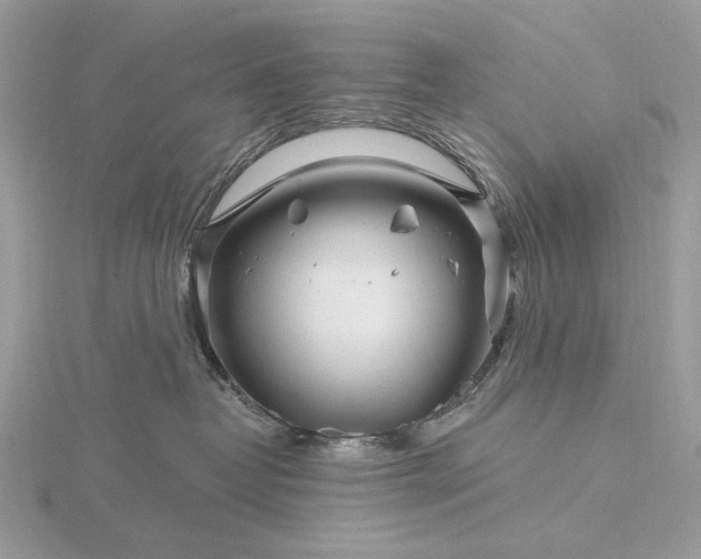 X0000116160382200912071329