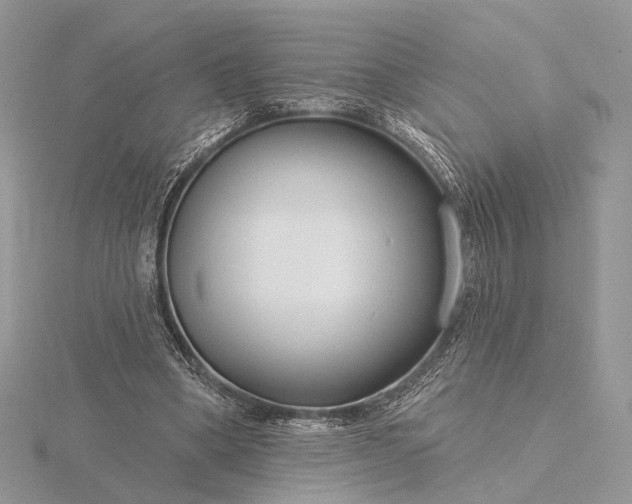 X0000116160394200912071329