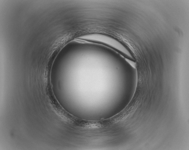 X0000116160402200912071329
