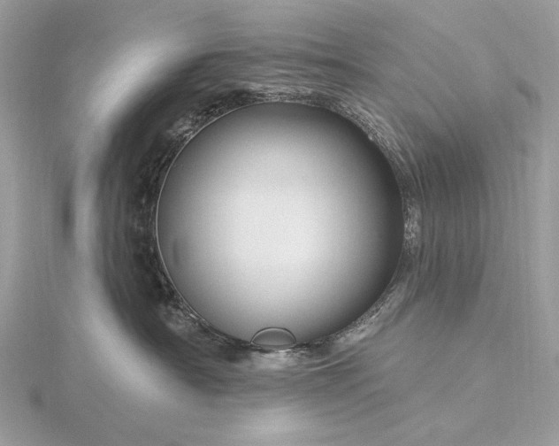 X0000116160430200912071328