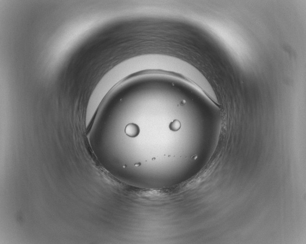 X0000116160431200912071328