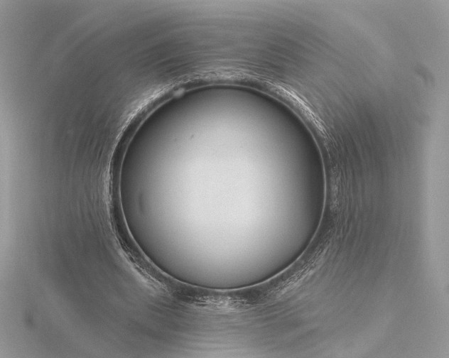 X0000116160439200912071328