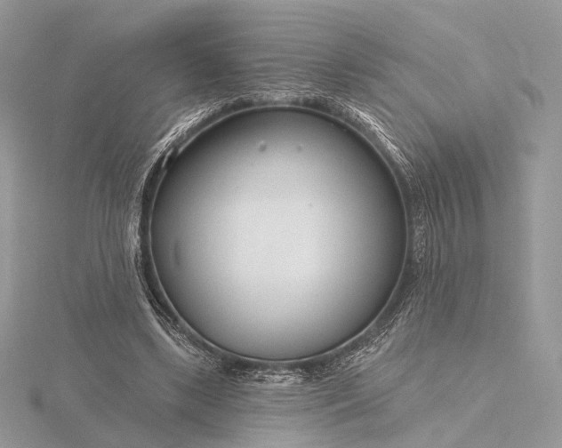 X0000116160443200912071328