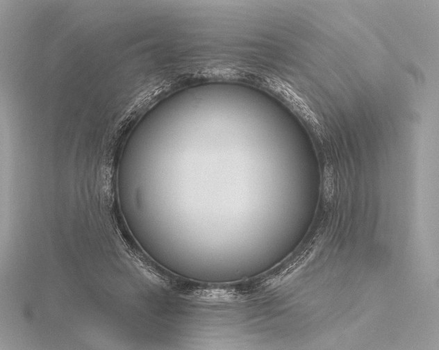 X0000116160449200912071328