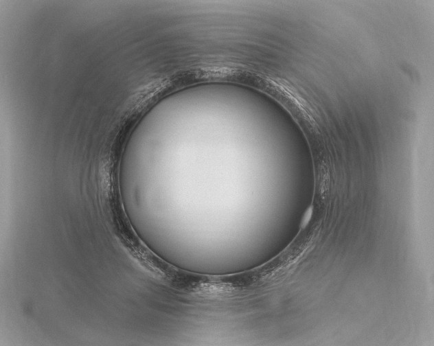 X0000116160455200912071328
