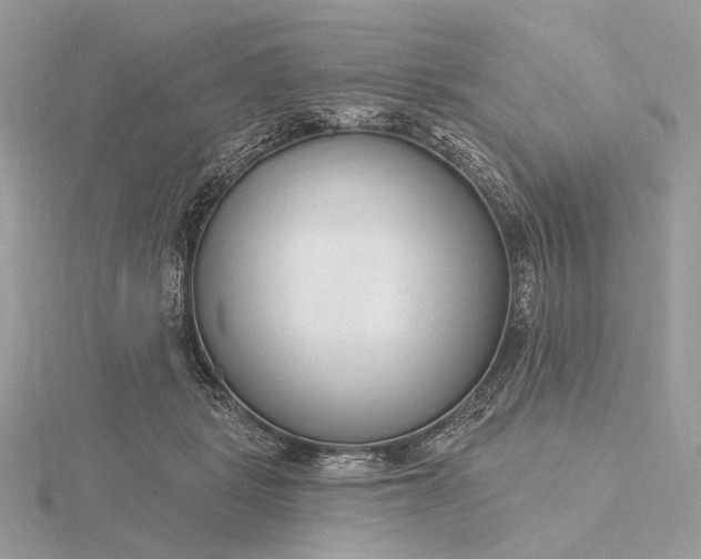 X0000116160461200912071328