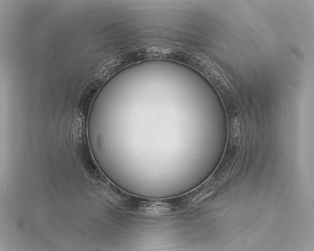 X0000116160463200912071328