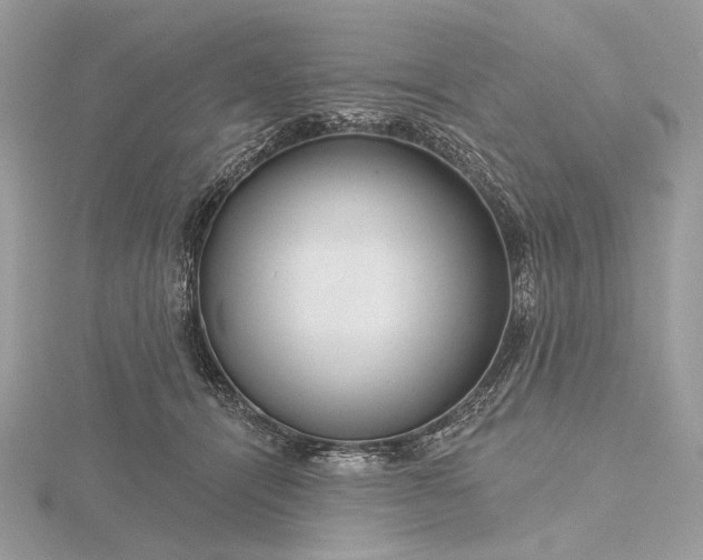 X0000116160464200912071328