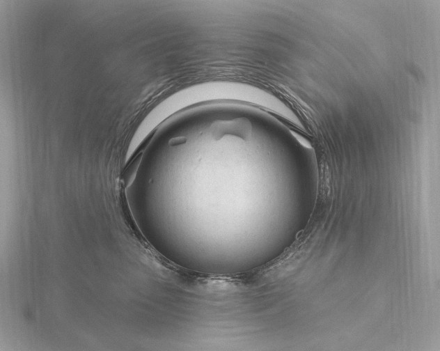 X0000116160475200912071328