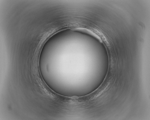 X0000116160481200912071328