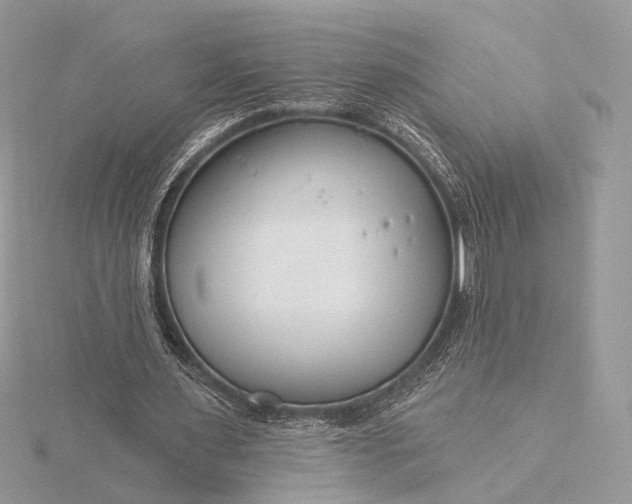 X0000116160483200912071328