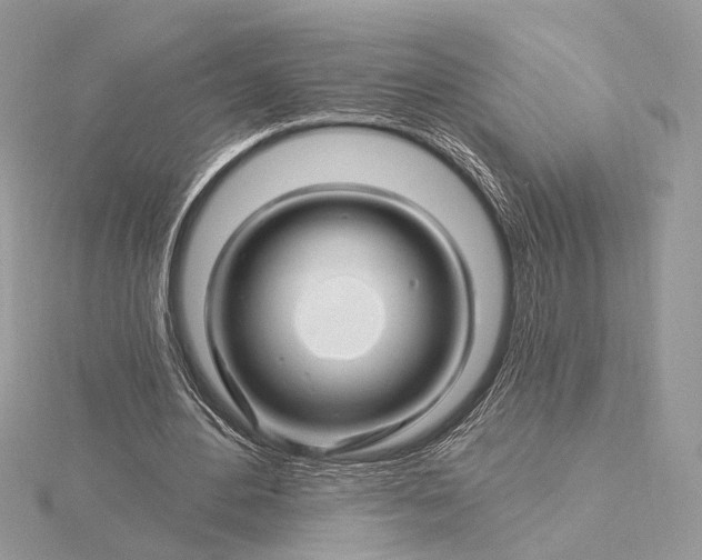 X0000116160484200912071328