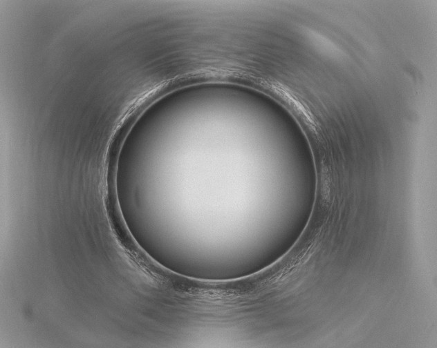 X0000116160486200912071327