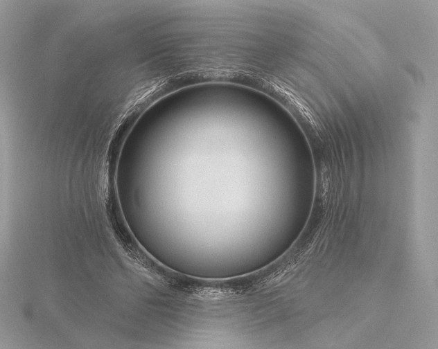 X0000116160494200912071327