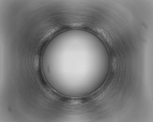X0000116160495200912071327