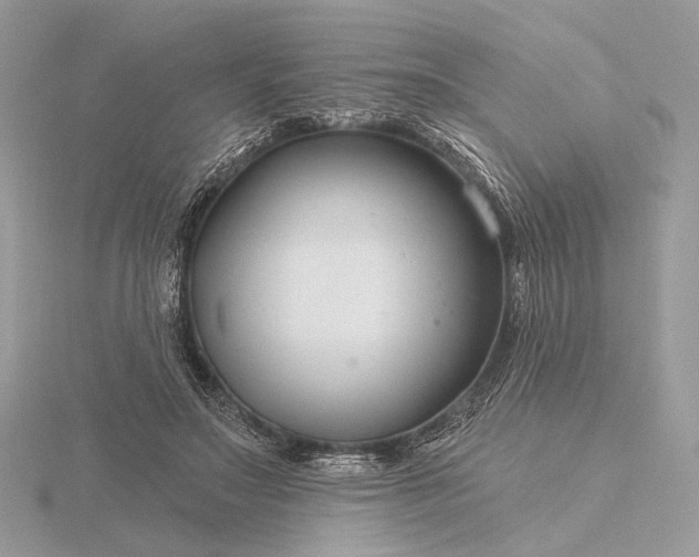 X0000116160499200912071327