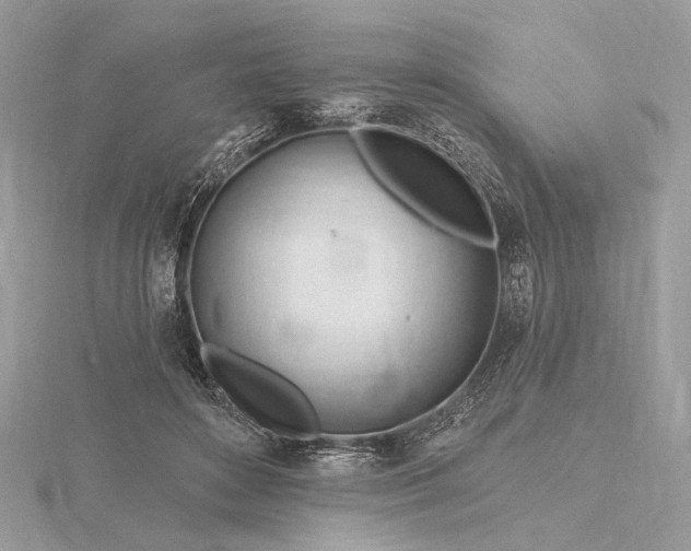 X0000116160504200912071327