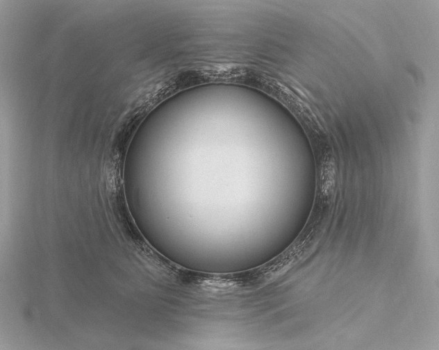 X0000116160515200912071327