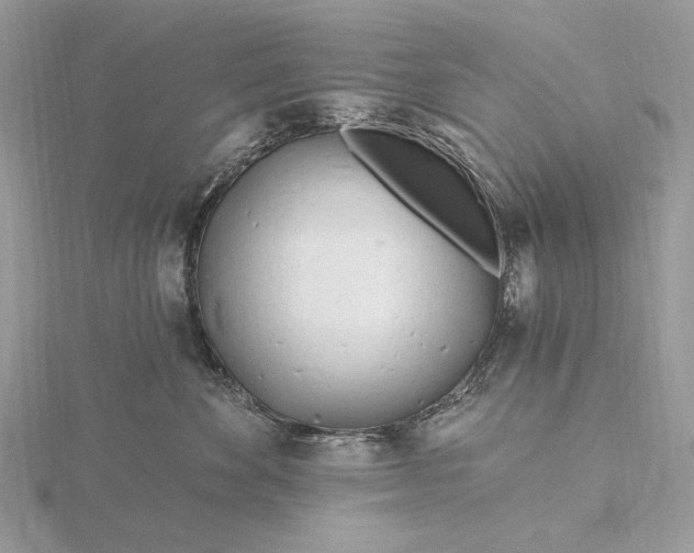 X0000116160524200912071327