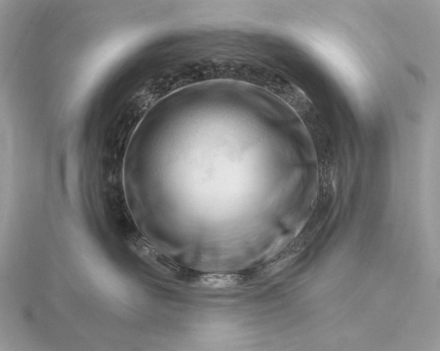 X0000116160526200912071327