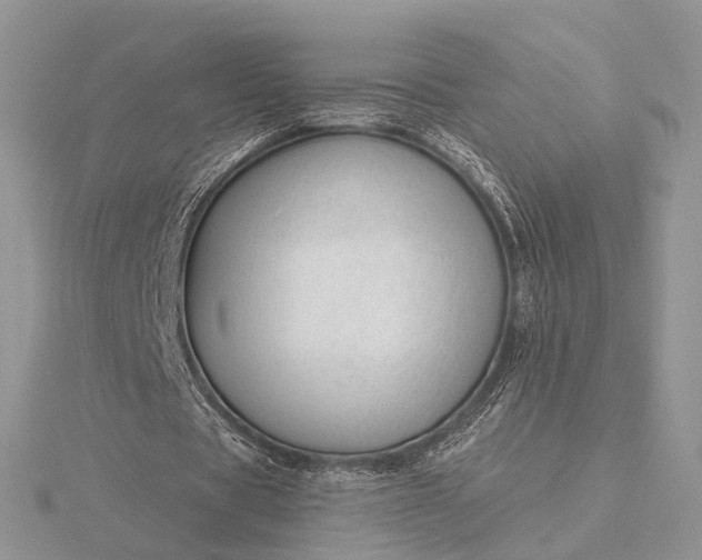 X0000116160529200912071326