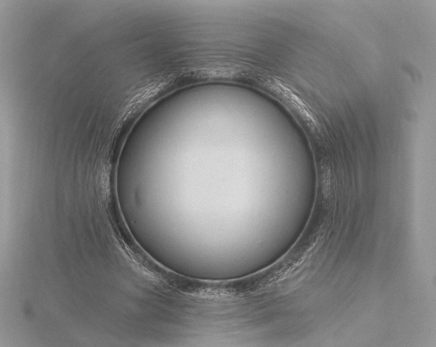 X0000116160537200912071326