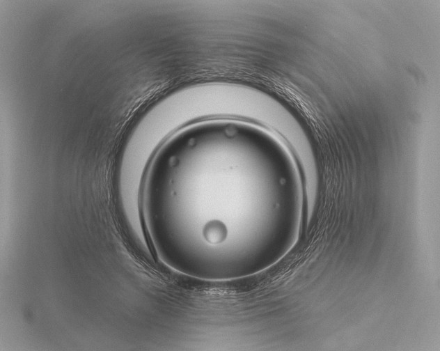 X0000116160546200912071327