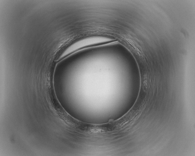 X0000116160547200912071327