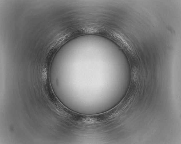 X0000116160549200912071327