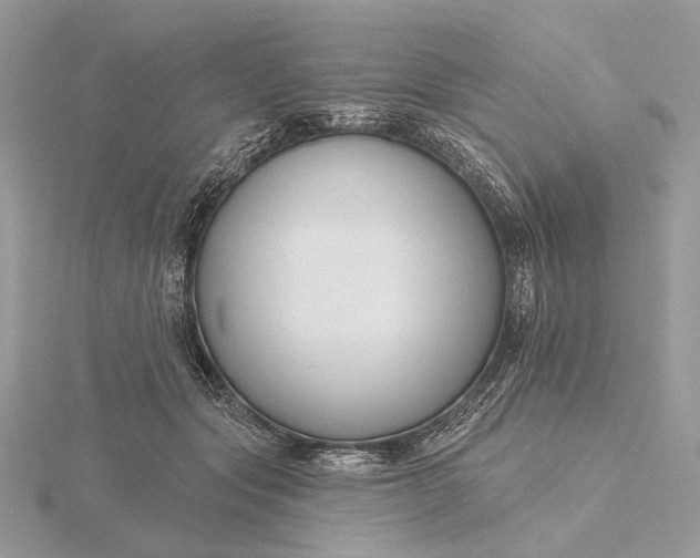 X0000116160557200912071327