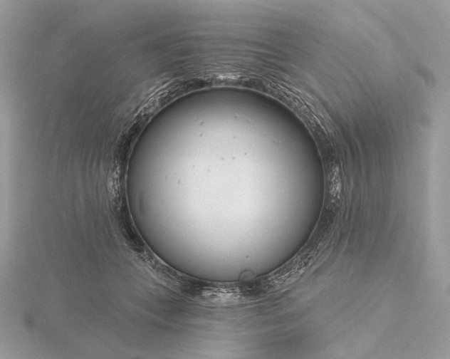 X0000116160559200912071327