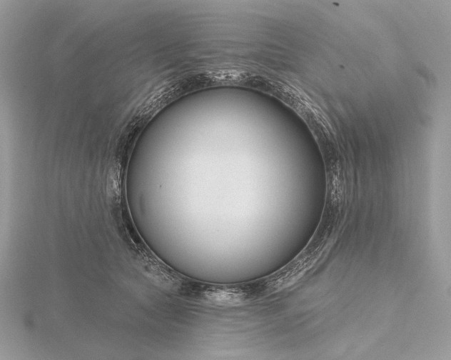 X0000116160561200912071327
