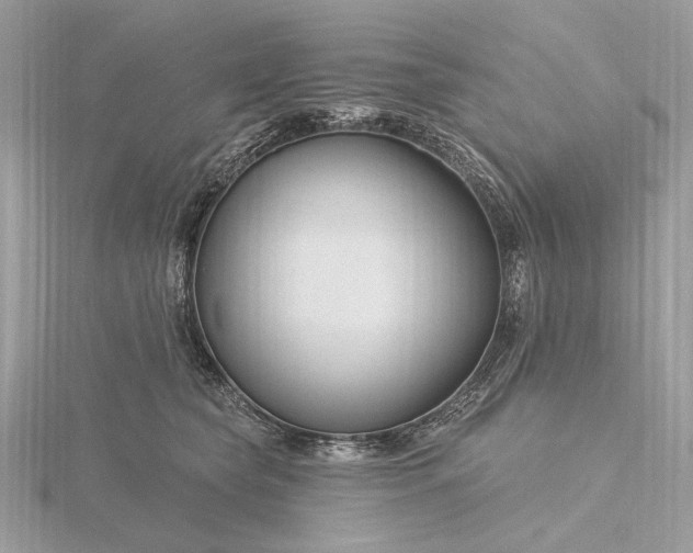 X0000116160565200912071327