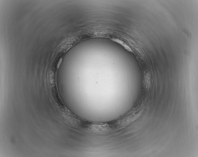 X0000116160571200912071327