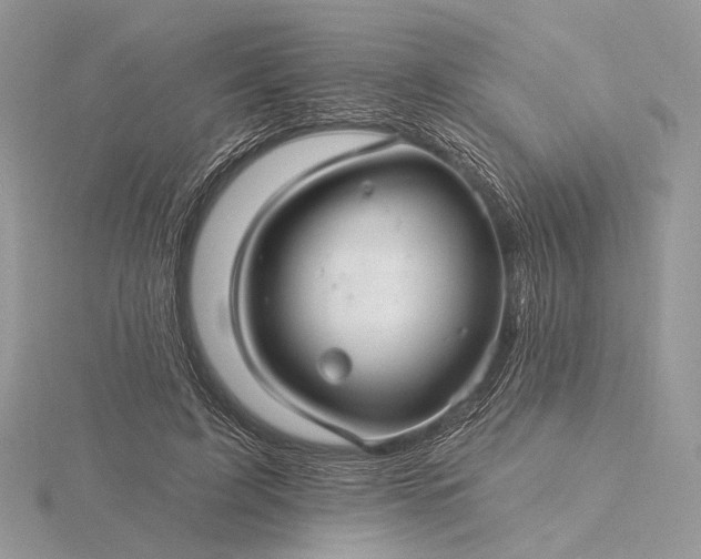 X0000116160595200912071326