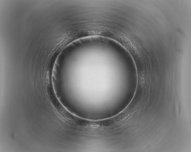 X0000116160598200912071326