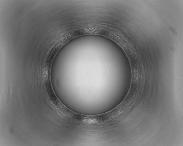 X0000116160602200912071326